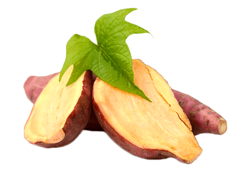 Radice di yacon in Reduslim