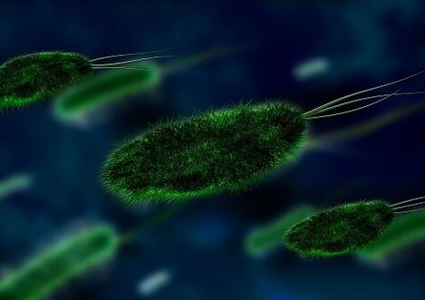 La causa della gastrite è un batterio - Helicobacter